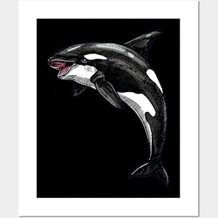 Orca Posters and Art